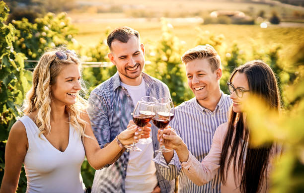 Wine Tour & Tasting