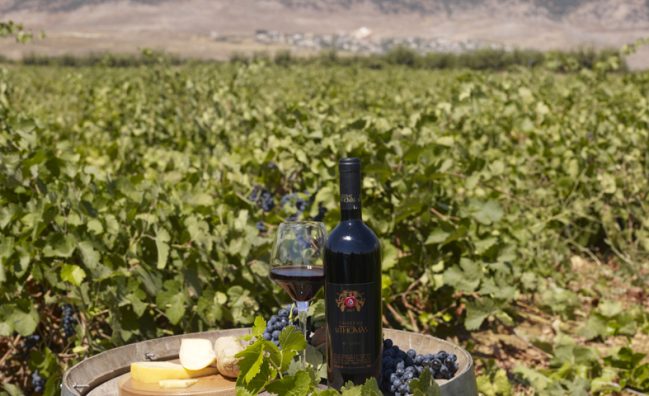 From Forest to Vineyard – The Cedars, Château Kefraya & Château Ksara Experience