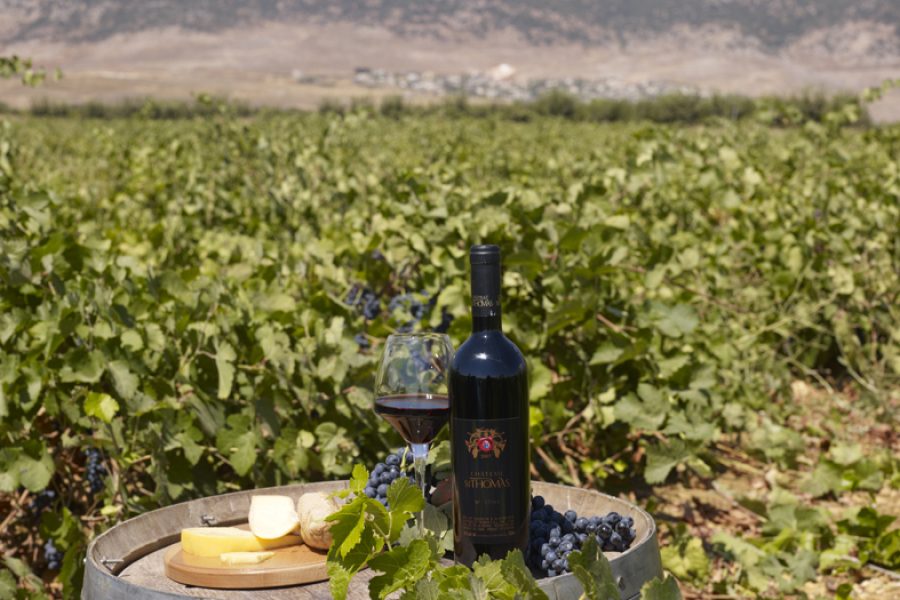 From Forest to Vineyard – The Cedars, Château Kefraya & Château Ksara Experience